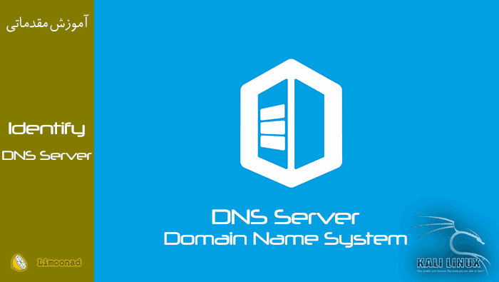 شناسایی DNS وب سرور توسط کالی لینوکس 