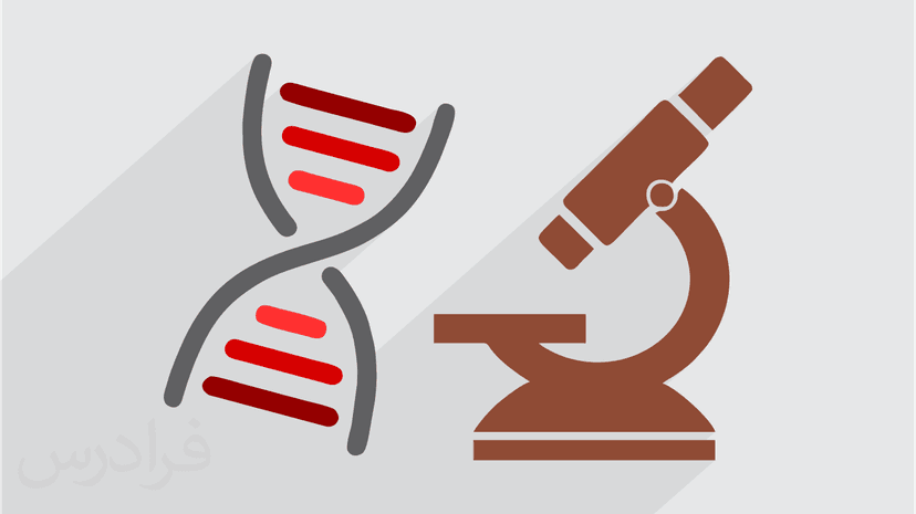 آموزش تقسیم سلولی، چرخه سلولی، میتوز و میوز در زیست شناسی (رایگان)