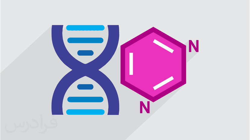 آموزش بیوفیزیک مولکول های بزرگ - اسیدهای نوکلئیک (رایگان)