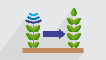 آموزش روش جهش در اصلاح نباتات (رایگان)
