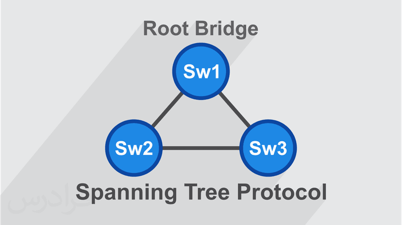 آموزش آشنایی با پروتکل STP (رایگان)