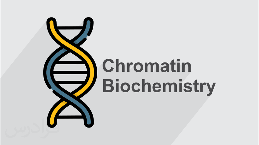 آموزش بیوشیمی کروماتین (Chromatin) - پیش ثبت نام