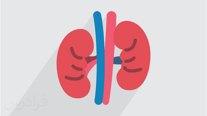 آموزش فیزیوپاتولوژی بیماری های کلیه - پیش ثبت نام