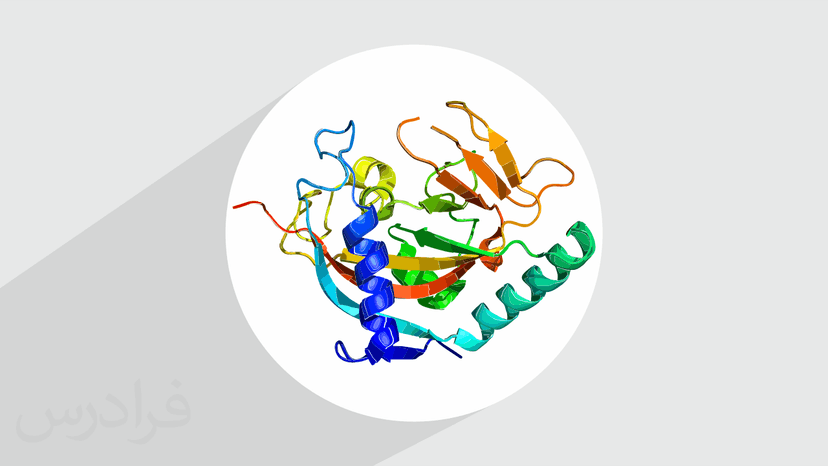 آموزش آنزیم شناسی – جامع و با مفاهیم کلیدی