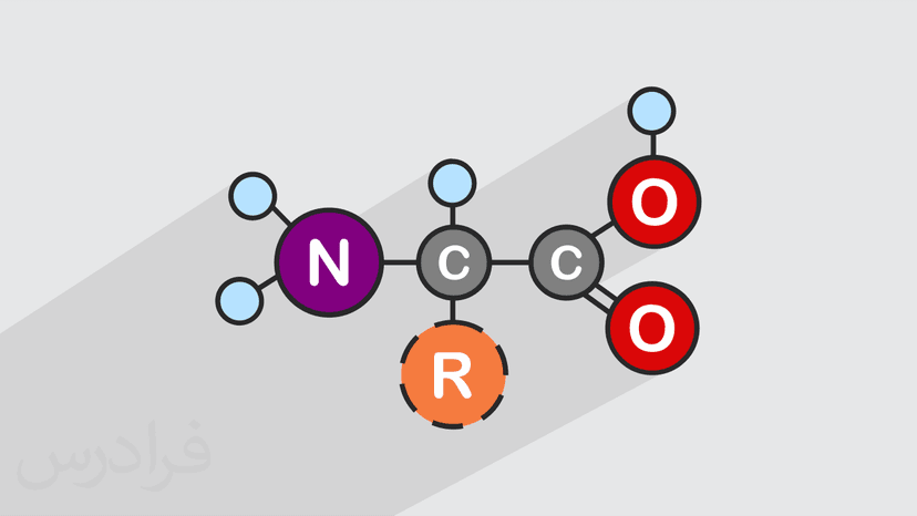 آموزش شیمی پروتئین ها – جامع و کاربردی