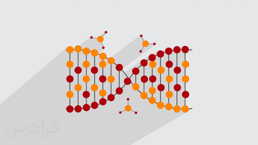 آموزش ساختار ماکرومولکول های زیستی (رایگان)