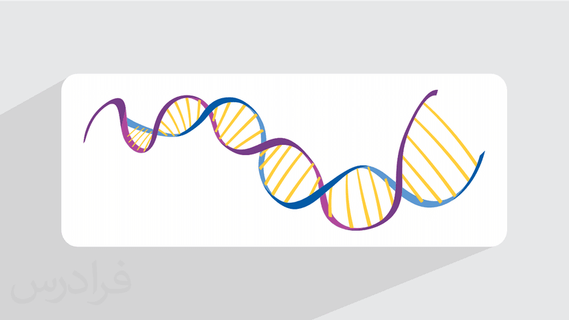 آموزش کاربردهای علم سیتوژنتیک (رایگان)