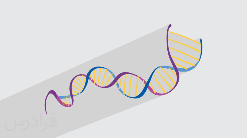 آموزش اپی ژنتیک Epigenetics + مفاهیم کلیدی