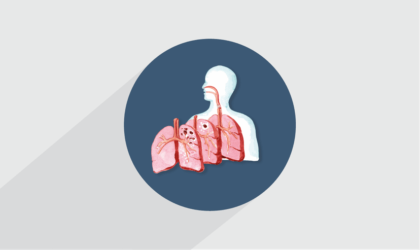 آموزش علوم تشریح دستگاه تنفس – پیش ثبت نام