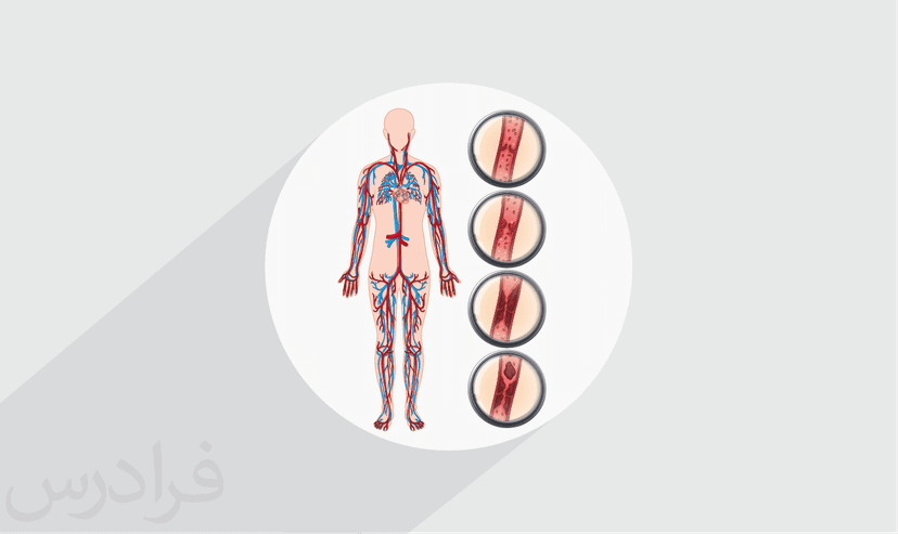 آموزش فیزیولوژی گردش خون – پیش ثبت نام