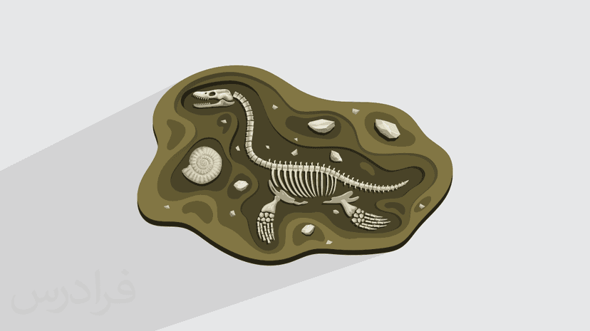 فسیل چیست؟ – انواع  فسیل ها + کاربرد و ارزش اقتصادی (رایگان)