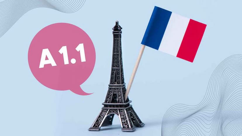 آموزش زبان فرانسه مقدماتی (سطح A1.1)