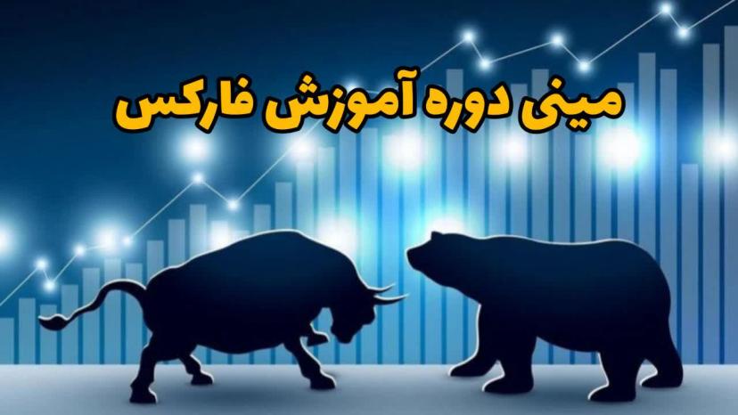 مینی دوره آموزش فارکس برای افراد مبتدی