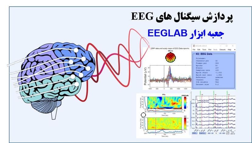 آموزش پردازش سیگنال‌های EEG و کار با جعبه‌ابزار EEGLAB