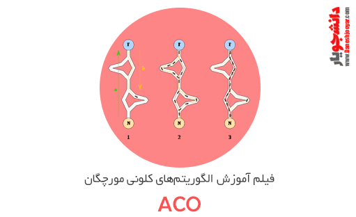 فیلم آموزش الگوریتم کلونی مورچه ها