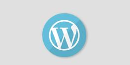 آموزش مقدماتی Wordpress (طراحی سایت بدون دانش برنامه نویسی)